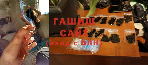 гашик Пересвет
