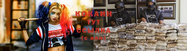 гашик Пересвет