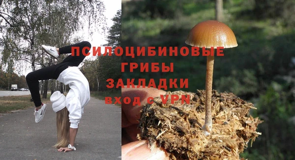 экстази Пестово