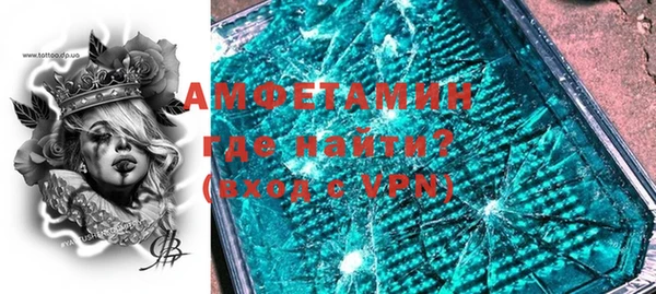 гашик Пересвет